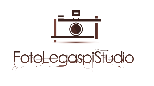 Logo Legaspi
